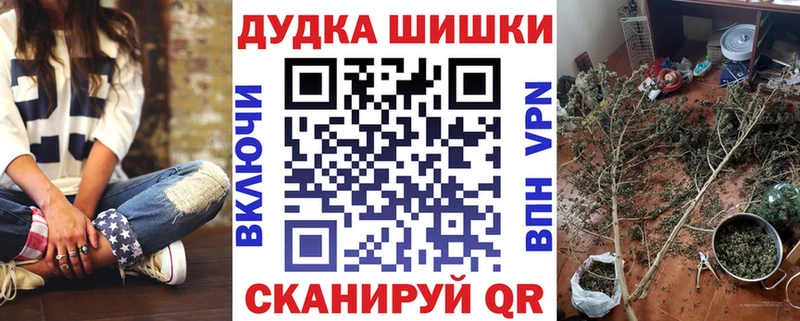 Конопля гибрид  Закаменск 